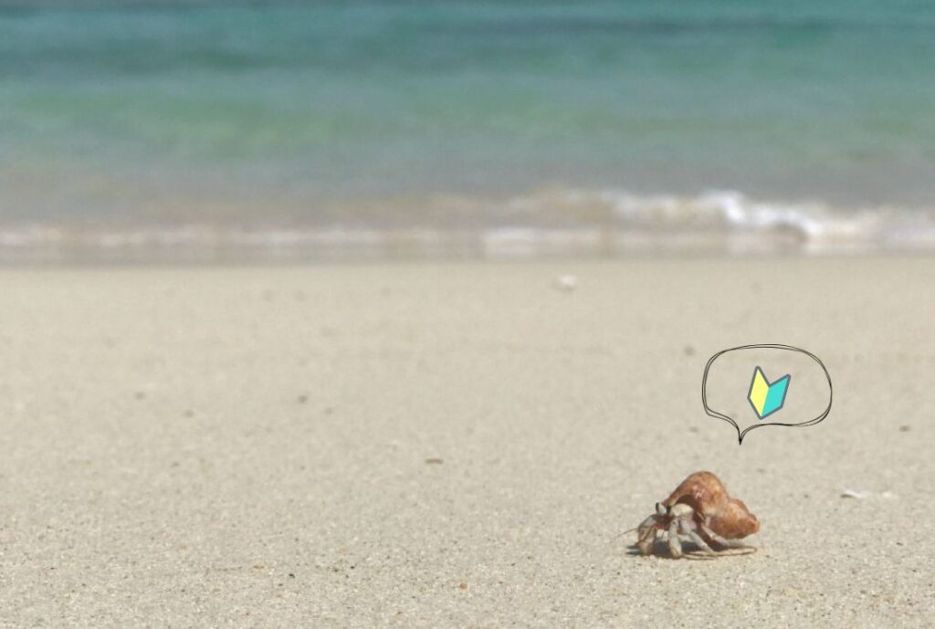 透き通る海と白い砂浜が映り、砂浜の上でヤドカリが歩いている画像。ヤドカリの上に初心者マーク。