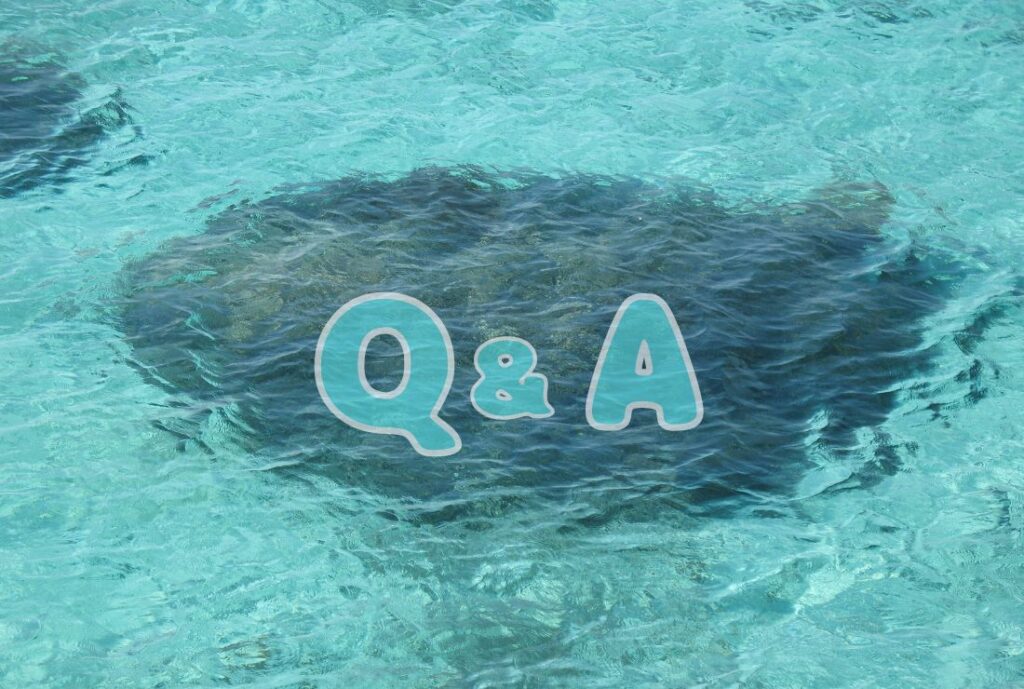透き通る海が映る画像。真ん中にQ&Aのテキスト。