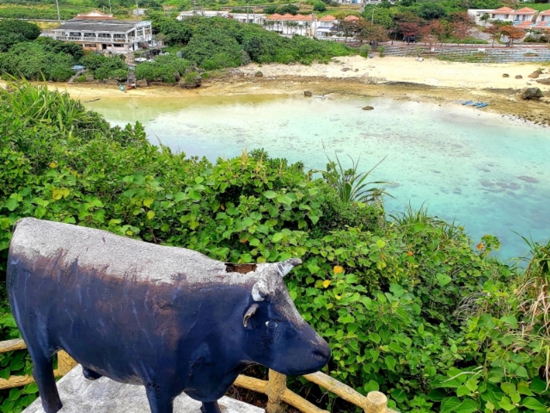 宮古島と宮古牛